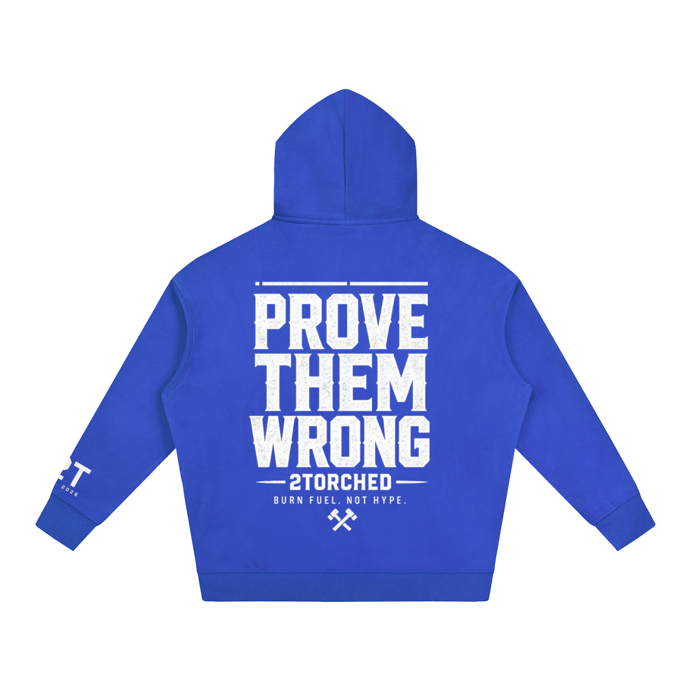 " PROVE THEM WRONG" Oversize Fleeced Hoodie